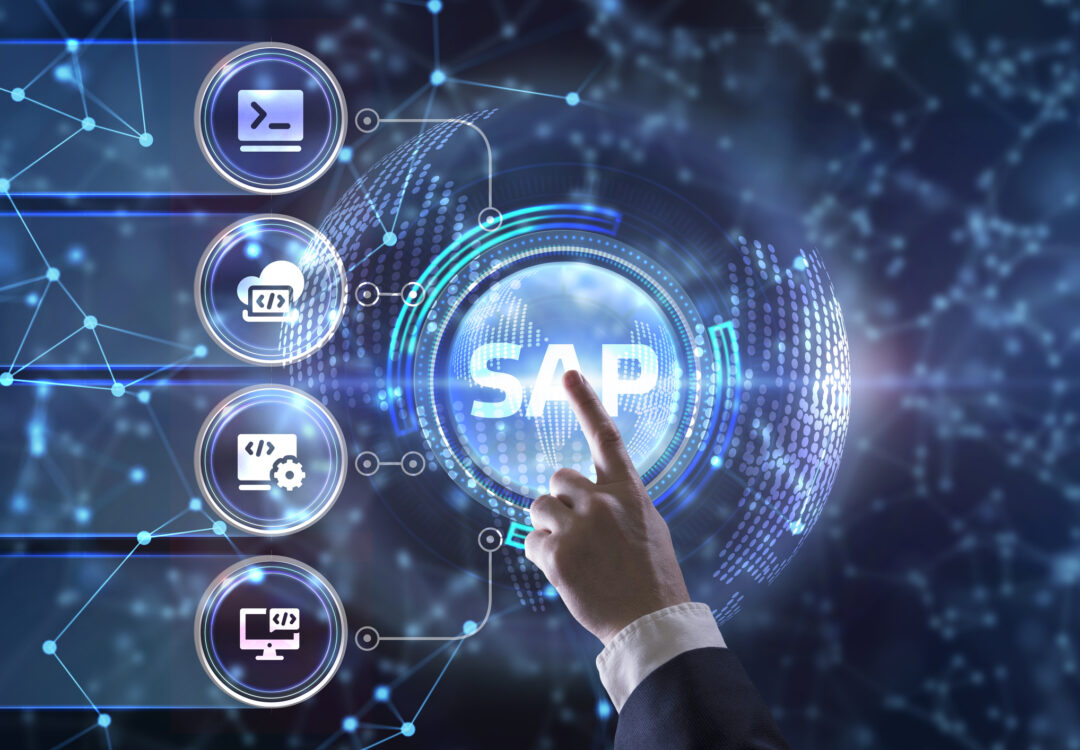 Risk Matrix for SAP